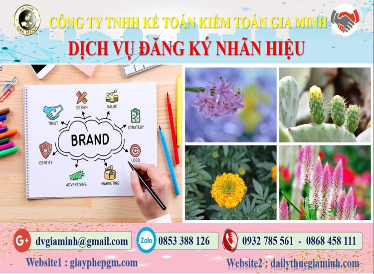 Đăng ký bảo hộ nhãn hiệu tại Điện Biên 4 Thủ tục đăng ký bảo hộ nhãn hiệu Điện Biên