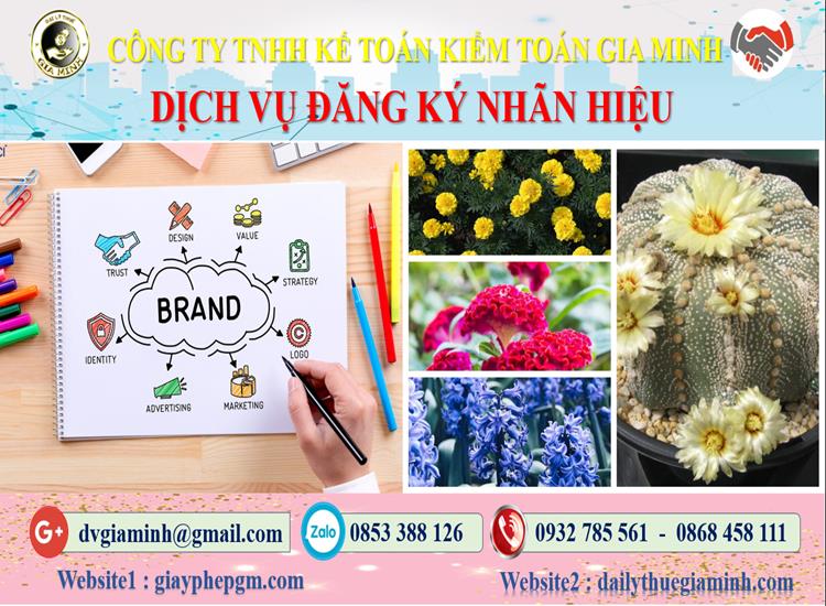 Đăng ký bảo hộ nhãn hiệu tại Hà Nội 4 Thủ tục đăng ký bảo hộ nhãn hiệu Hà Nội