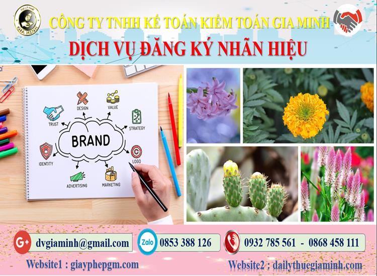Đăng ký bảo hộ nhãn hiệu tại Hậu Giang 4 Thủ tục đăng ký bảo hộ nhãn hiệu Hậu Giang