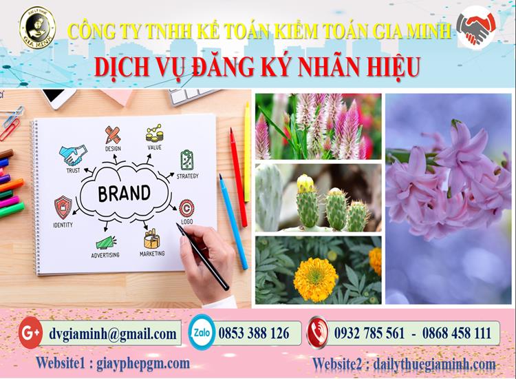 Thủ tục đăng ký bảo hộ nhãn hiệu Lai Châu