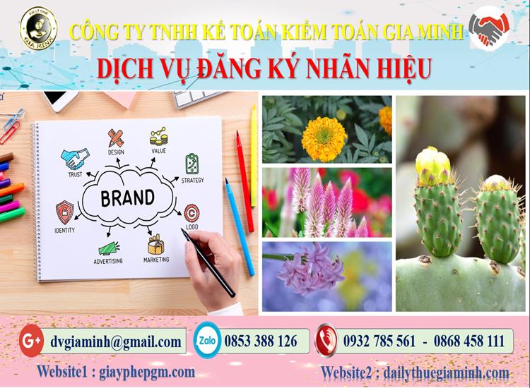 Đăng ký bảo hộ nhãn hiệu tại Lào Cai 4 Thủ tục đăng ký bảo hộ nhãn hiệu Lào Cai