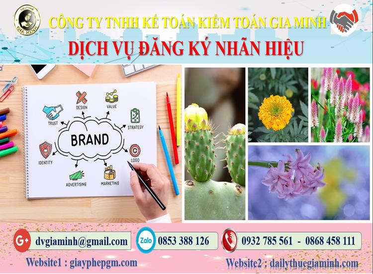 Đăng ký bảo hộ nhãn hiệu tại Phú Thọ 4 Thủ tục đăng ký bảo hộ nhãn hiệu Phú Thọ