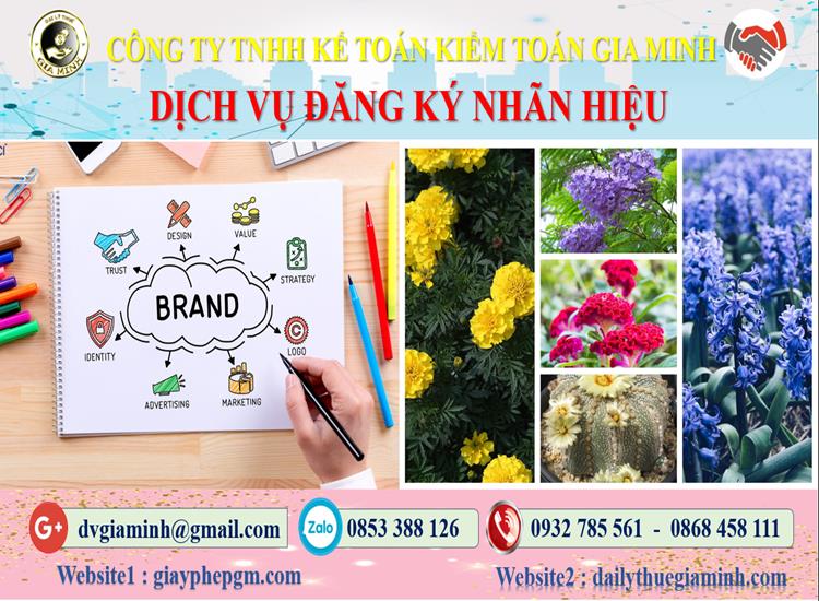 Đăng ký bảo hộ nhãn hiệu tại Quận 12 4 Thủ tục đăng ký bảo hộ nhãn hiệu Quận 12