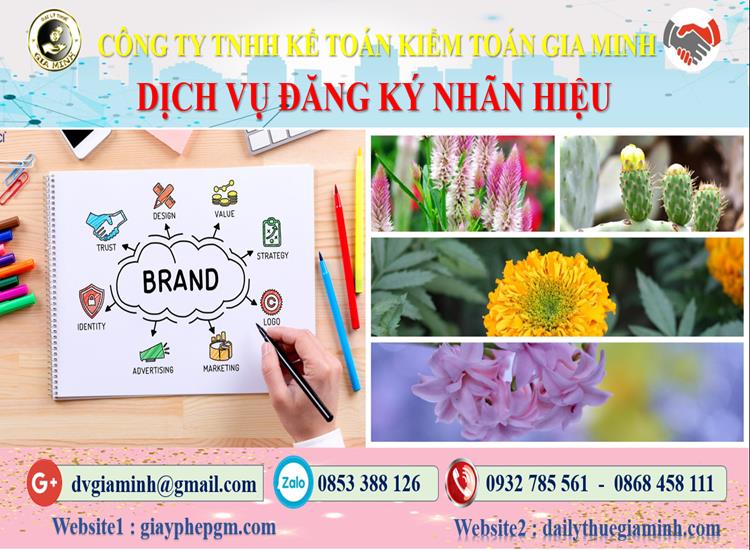 Đăng ký bảo hộ nhãn hiệu tại Thành Phố Cần Thơ 7 Thủ tục đăng ký bảo hộ nhãn hiệu Thành Phố Cần Thơ