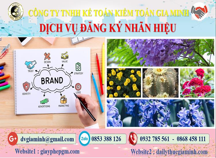Đăng ký bảo hộ nhãn hiệu tại Thành Phố Hà Nội 4 Thủ tục đăng ký bảo hộ nhãn hiệu Thành Phố Hà Nội
