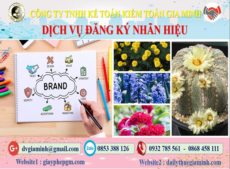 Đăng ký bảo hộ nhãn hiệu tại Thành Phố Hồ Chí Minh 4 Thủ tục đăng ký bảo hộ nhãn hiệu Thành Phố Hồ Chí Minh
