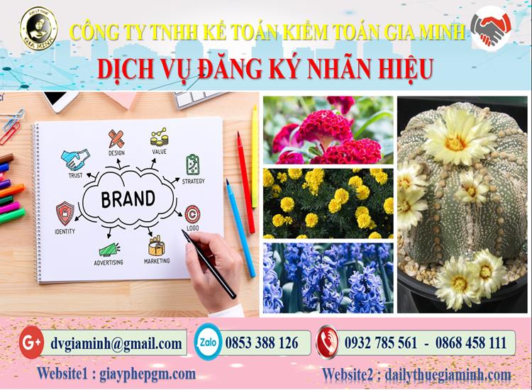Đăng ký bảo hộ nhãn hiệu tại TP Hà Nội 4 Thủ tục đăng ký bảo hộ nhãn hiệu TP Hà Nội