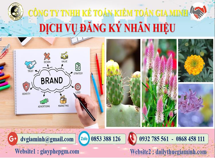 Đăng ký bảo hộ nhãn hiệu tại Tuyên Quang 4 Thủ tục đăng ký bảo hộ nhãn hiệu Tuyên Quang