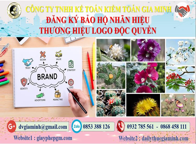 Đăng ký bảo hộ nhãn hiệu thương hiệu logo độc quyền tại Bắc Kạn 4 Đăng ký bảo hộ nhãn hiệu thương hiệu logo độc quyền Bắc Kạn
