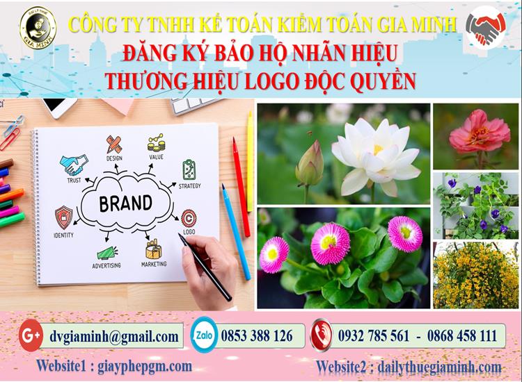 Đăng ký bảo hộ nhãn hiệu thương hiệu logo độc quyền Bạc Liêu