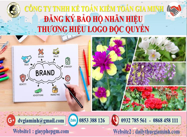 Đăng ký bảo hộ nhãn hiệu thương hiệu logo độc quyền tại Cần Thơ 4 Đăng ký bảo hộ nhãn hiệu thương hiệu logo độc quyền Cần Thơ