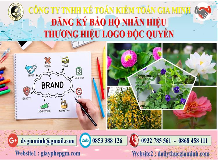 Đăng ký bảo hộ nhãn hiệu thương hiệu logo độc quyền tại Huyện Củ Chi 4 Đăng ký bảo hộ nhãn hiệu thương hiệu logo độc quyền Huyện Củ Chi