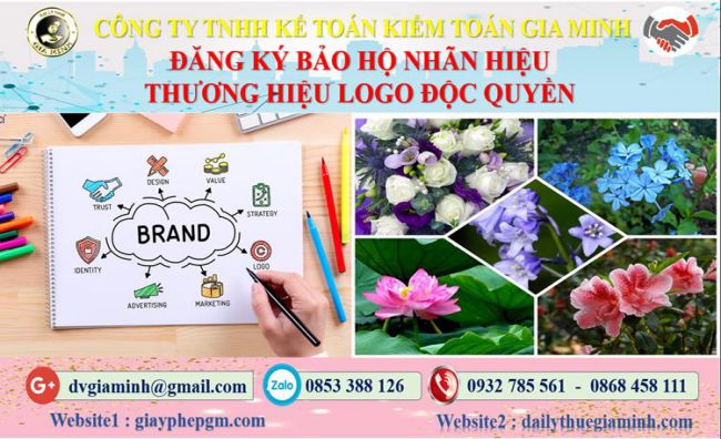 Đăng ký bảo hộ nhãn hiệu thương hiệu logo độc quyền Huyện Hóc Môn