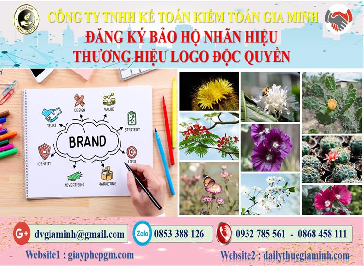 Đăng ký bảo hộ nhãn hiệu thương hiệu logo độc quyền tại Huyện Mê Linh 4 Đăng ký bảo hộ nhãn hiệu thương hiệu logo độc quyền Huyện Mê Linh
