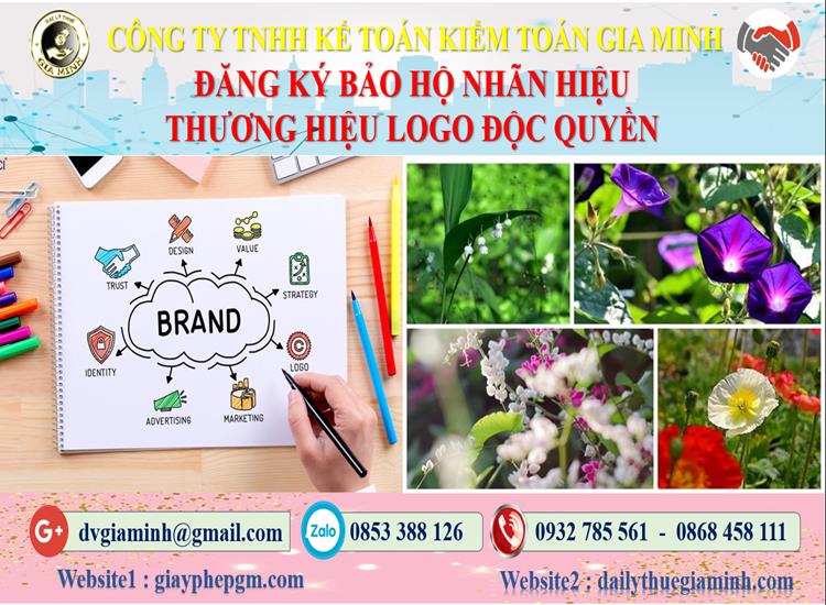 Đăng ký bảo hộ nhãn hiệu thương hiệu logo độc quyền Lâm Đồng