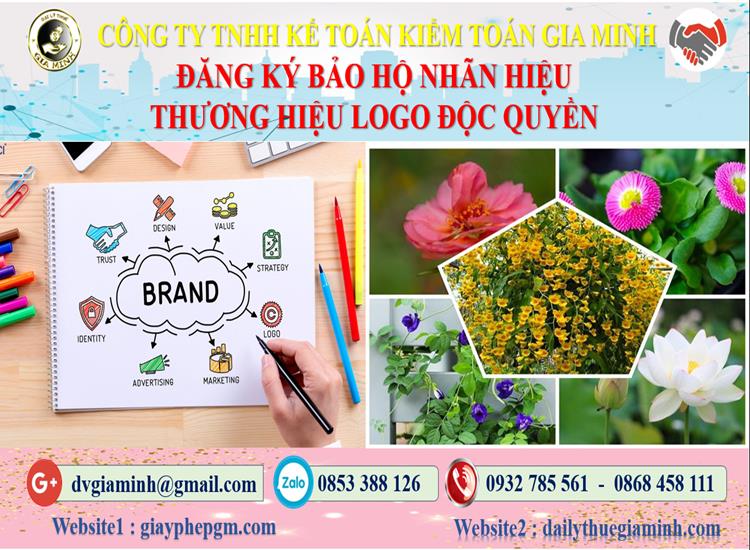 Đăng ký bảo hộ nhãn hiệu thương hiệu logo độc quyền tại Quận 5 4 Đăng ký bảo hộ nhãn hiệu thương hiệu logo độc quyền Quận 5