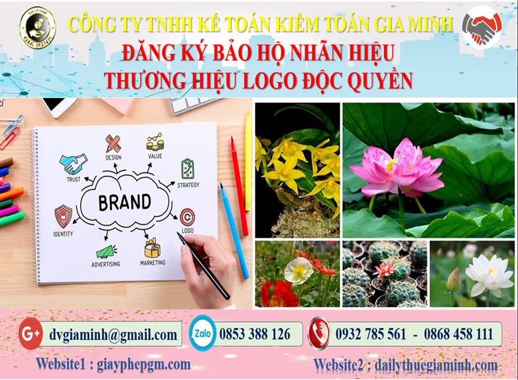 Đăng ký bảo hộ nhãn hiệu thương hiệu logo độc quyền Thành Phố Hải Phòng
