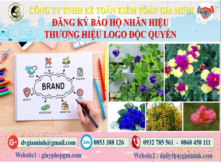 Đăng ký bảo hộ nhãn hiệu thương hiệu logo độc quyền tại TT Huế 4 Đăng ký bảo hộ nhãn hiệu thương hiệu logo độc quyền TT Huế