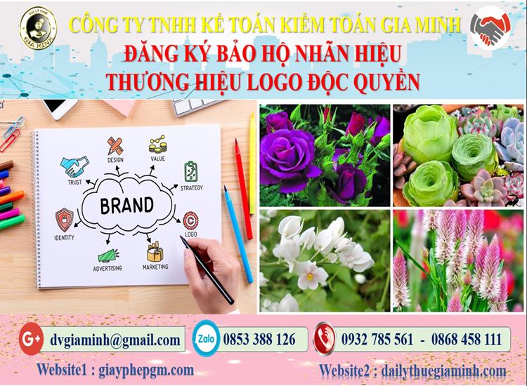 Đăng ký bảo hộ nhãn hiệu thương hiệu logo độc quyền Vũng Tàu