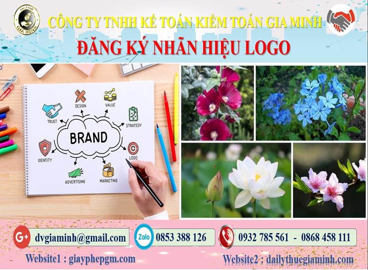 Đăng ký nhãn hiệu logo tại Phú Quốc