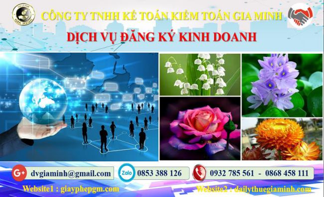Dịch vụ đăng ký kinh doanh Quận Ninh Kiều 4 Thủ tục đăng ký kinh doanh Quận Ninh Kiều