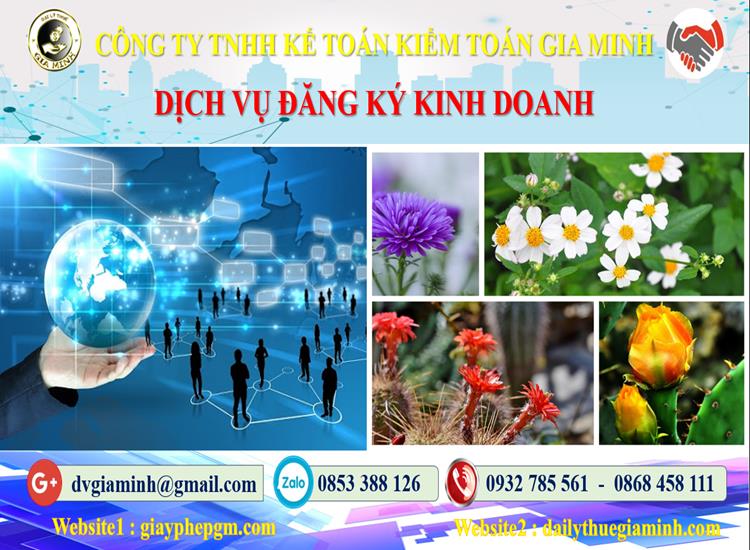 giayphepgm.com thu tuc dich vu dang ky kinh doanh thanh pho ha noi