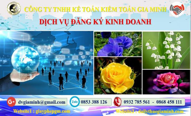 Thủ tục đăng ký kinh doanh Thành Phố Hải Phòng