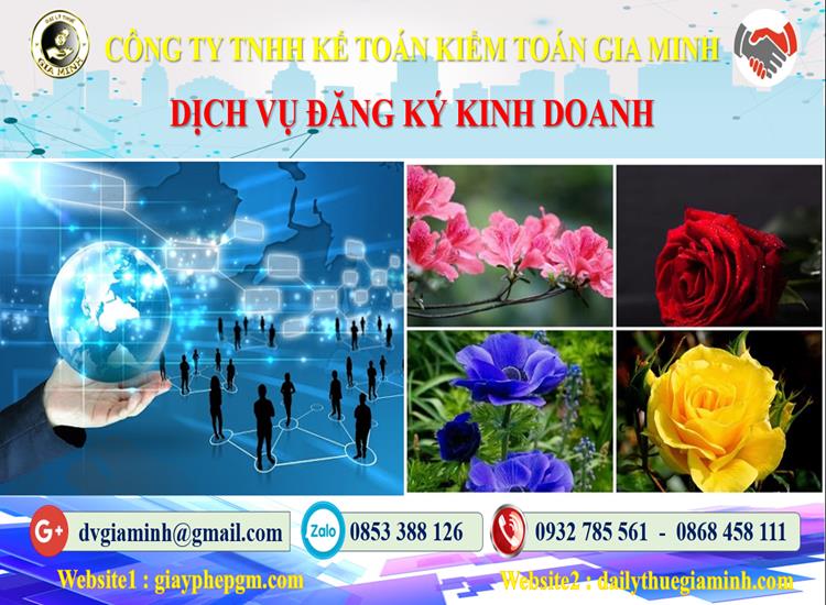 Dịch vụ đăng ký kinh doanh TP Hải Phòng 4 Thủ tục đăng ký kinh doanh TP Hải Phòng