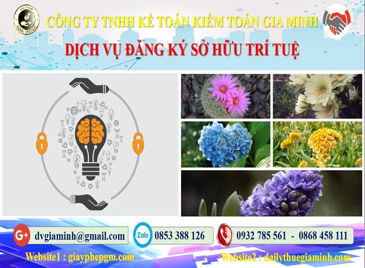 Dịch vụ đăng ký sở hữu trí tuệ tại Bắc Giang 4 Thủ tục đăng ký sở hữu trí tuệ tại Bắc Giang