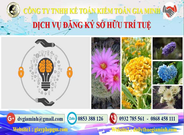 Dịch vụ đăng ký sở hữu trí tuệ tại Bắc Ninh 4 Thủ tục đăng ký sở hữu trí tuệ tại Bắc Ninh