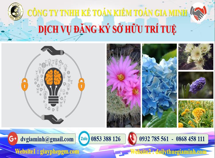 Dịch vụ đăng ký sở hữu trí tuệ tại Bình Dương 4 Thủ tục đăng ký sở hữu trí tuệ tại Bình Dương