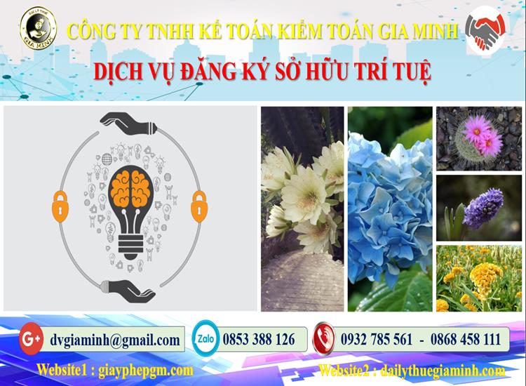 Dịch vụ đăng ký sở hữu trí tuệ tại Bình Phước 4 Thủ tục đăng ký sở hữu trí tuệ tại Bình Phước