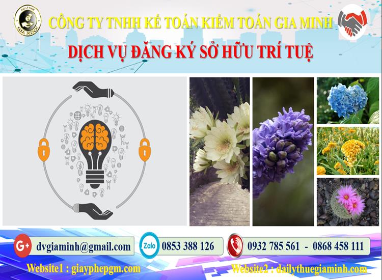 Dịch vụ đăng ký sở hữu trí tuệ tại Cao Bằng 4 Thủ tục đăng ký sở hữu trí tuệ tại Cao Bằng