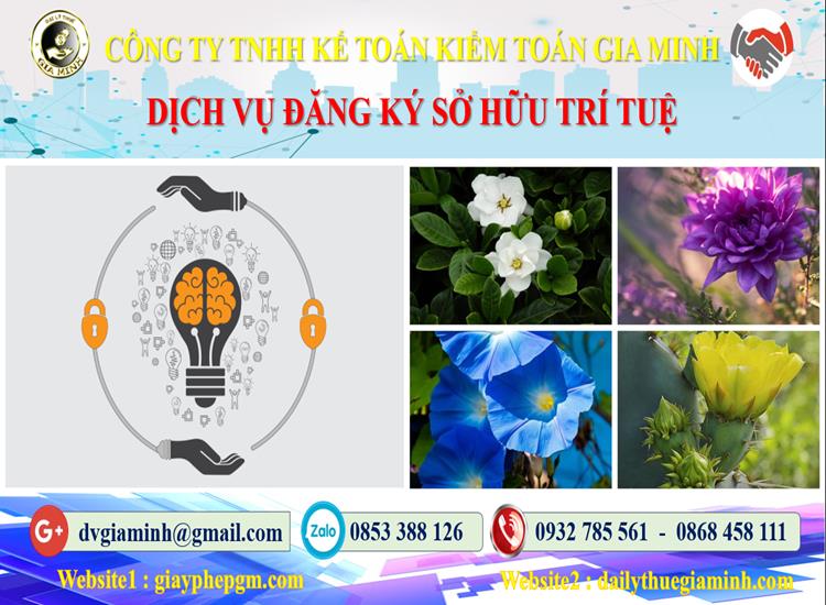 Dịch vụ đăng ký sở hữu trí tuệ tại Đà Nẵng 4 Thủ tục đăng ký sở hữu trí tuệ tại Đà Nẵng