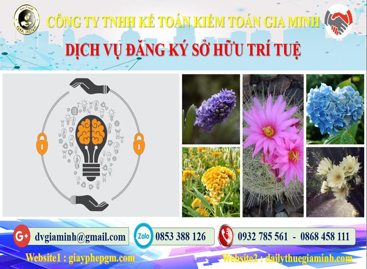 Dịch vụ đăng ký sở hữu trí tuệ tại Huyện Cần Giờ 4 Thủ tục đăng ký sở hữu trí tuệ tại Huyện Cần Giờ