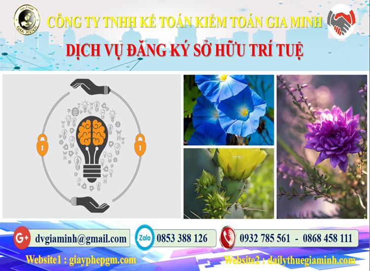 Dịch vụ đăng ký sở hữu trí tuệ tại Nam Định 4 Thủ tục đăng ký sở hữu trí tuệ tại Nam Định