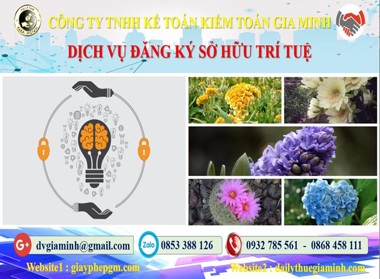 Dịch vụ đăng ký sở hữu trí tuệ tại Quận 12 4 Chi phí đăng ký sở hữu trí tuệ tại Quận 12