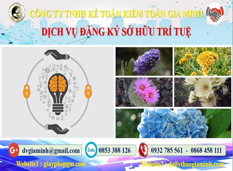 Dịch vụ đăng ký sở hữu trí tuệ tại Quận Hai Bà Trưng 4 Thủ tục đăng ký sở hữu trí tuệ tại Quận Hai Bà Trưng