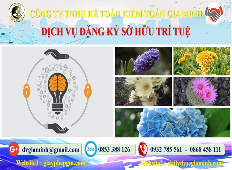 Thủ tục đăng ký sở hữu trí tuệ tại Quận Hoàng Mai