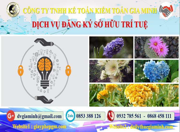 Dịch vụ đăng ký sở hữu trí tuệ tại Quận Long Biên 4 Thủ tục đăng ký sở hữu trí tuệ tại Quận Long Biên