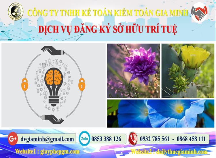 Thủ tục đăng ký sở hữu trí tuệ tại Thanh Hóa