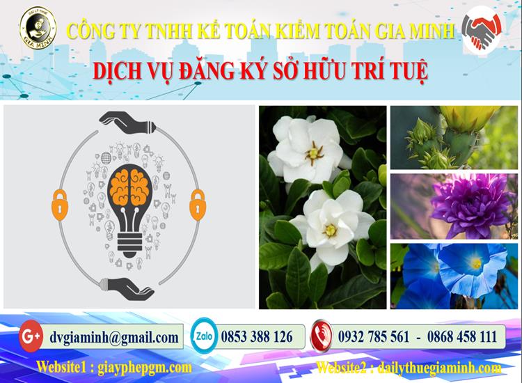 Thủ tục đăng ký sở hữu trí tuệ tại Thành Phố Hải Phòng