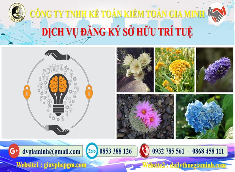 Dịch vụ đăng ký sở hữu trí tuệ tại Thành Phố Hồ Chí Minh 4 Thủ tục đăng ký sở hữu trí tuệ tại Thành Phố Hồ Chí Minh