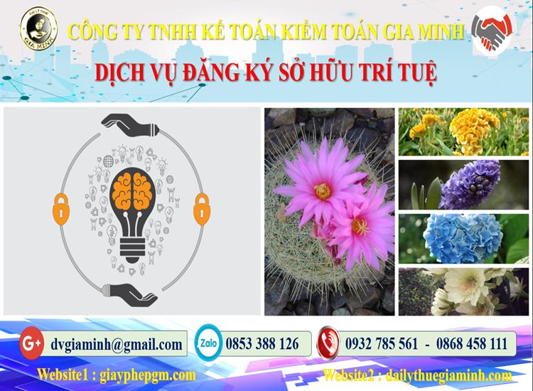 Dịch vụ đăng ký sở hữu trí tuệ tại Thừa Thiên Huế 4 Thủ tục đăng ký sở hữu trí tuệ tại Thừa Thiên Huế