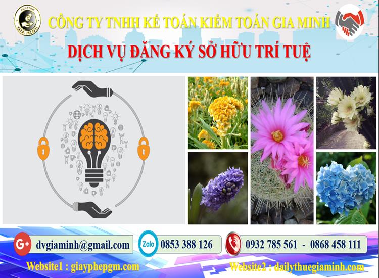 Dịch vụ đăng ký sở hữu trí tuệ tại TPHCM 4 Thủ tục đăng ký sở hữu trí tuệ tại TPHCM