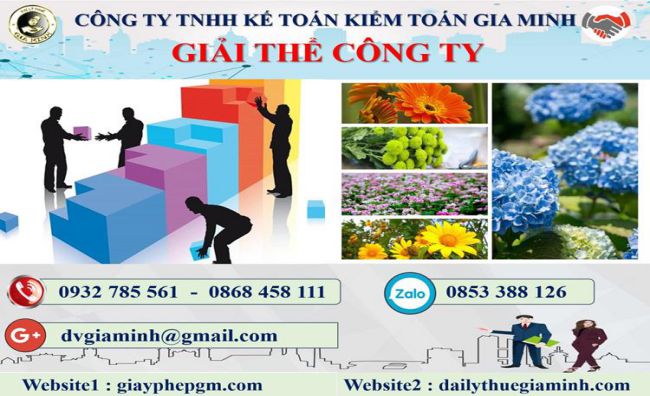 Dịch vụ giải thể công ty tại Phú Thọ trọn gói uy tín 4 Thủ tục giải thể công ty tại Phú Thọ