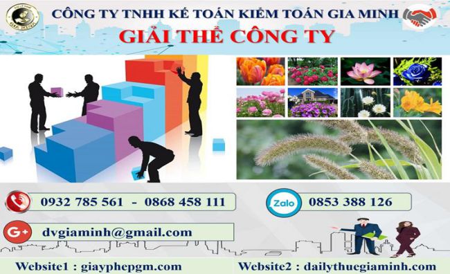 Thủ tục giải thể công ty tại Vũng Tàu