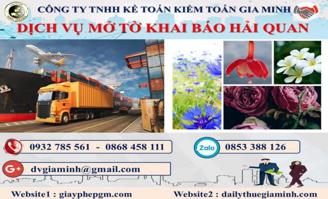 Dịch vụ hải quan giá rẻ tại Huyện Thới Lai 4 Thủ tục dịch vụ hải quan giá rẻ Huyện Thới Lai