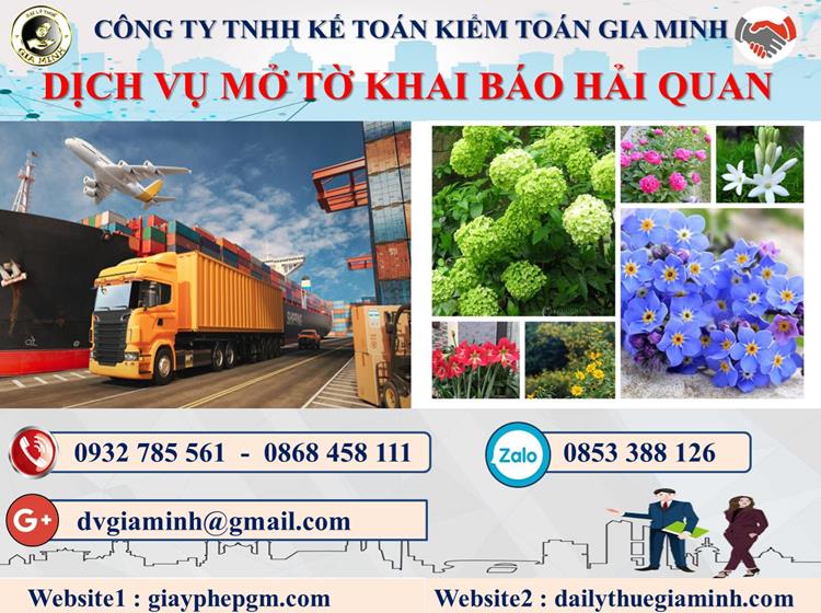 Dịch vụ hải quan giá rẻ tại Kon Tum 4 Thủ tục dịch vụ hải quan giá rẻ Kon Tum