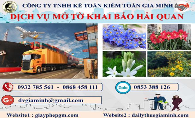 Thủ tục dịch vụ hải quan giá rẻ Quận 10